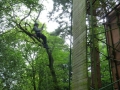 NEDCamp18